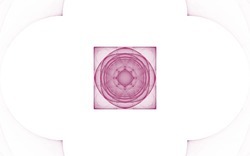 2014 04 30 Webs and Things 03-white.jpg